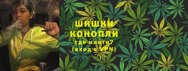 PSILOCYBIN Балахна