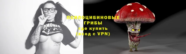 PSILOCYBIN Балахна