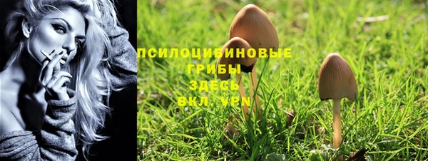 PSILOCYBIN Балахна
